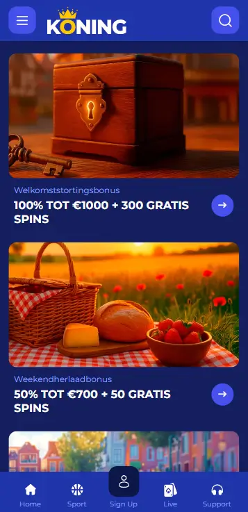 Bonusoverzicht van Koning Casino met een welkomststortingsbonus van 100% tot €1000 plus 300 gratis spins en een weekendherlaadbonus van 50% tot €700 plus 50 gratis spins